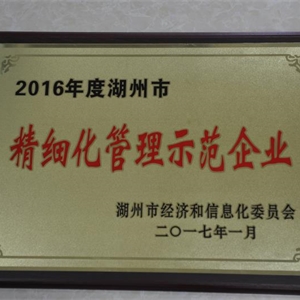湖州j9九游会 市精细化管理示范企业