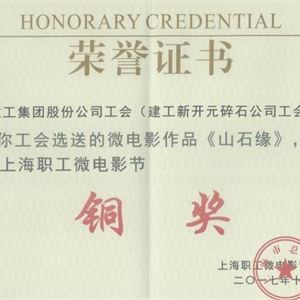 湖州j9九游会 首届上海职工微电影节铜奖